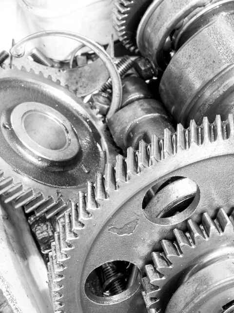 الخبرة في النوع